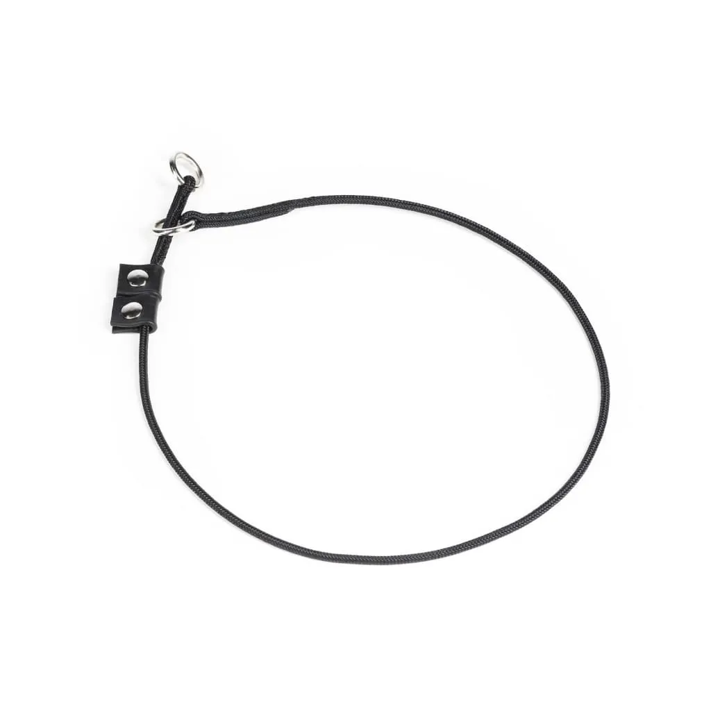 Julius K9 Training Collar