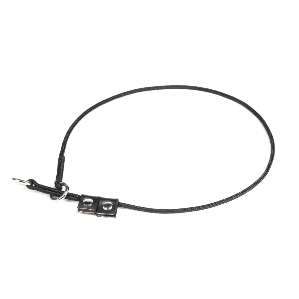 Julius K9 Training Collar
