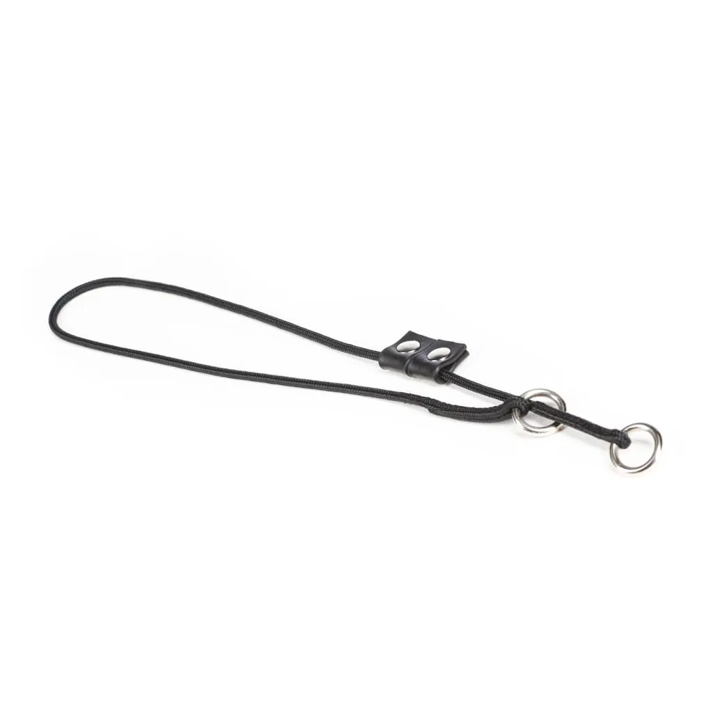 Julius K9 Training Collar